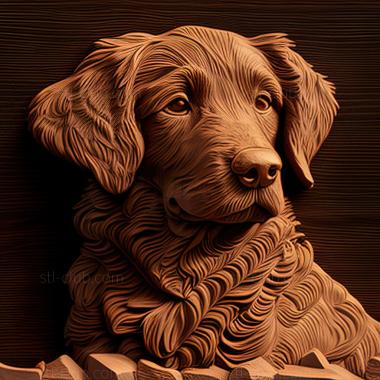 3D model st Curly   haired retriever dog (STL)